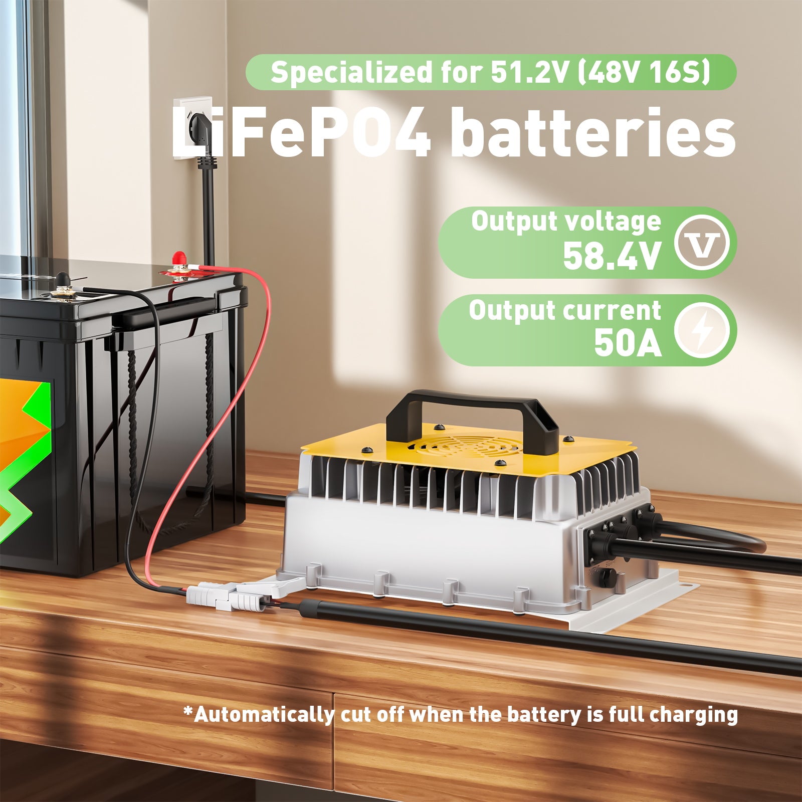 NOEIFEVO 58.4V 50A LiFePO4 batterie de Chargeur pour batterie 51.2V (48V) 16S LiFePO4, étanche, 0V BMS activé