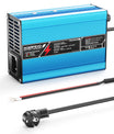 NOEIFEVO 25.2V  2A 3A 4A 5A Chargeur lithium pour batteries Li-Ion Lipo 6S 22.2V, ventilateur de refroidissement, arrêt automatique (BLEU)